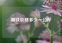 硼铁价格多少一公斤