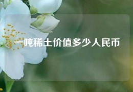 一吨稀土价值多少人民币