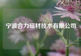 宁波合力磁材技术有限公司