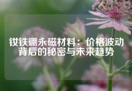 钕铁硼永磁材料：价格波动背后的秘密与未来趋势