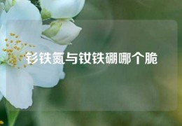 钐铁氮与钕铁硼哪个脆