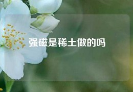 强磁是稀土做的吗