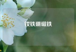 钕铁硼磁铁