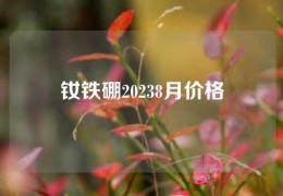 钕铁硼20238月价格