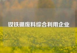 钕铁硼废料综合利用企业