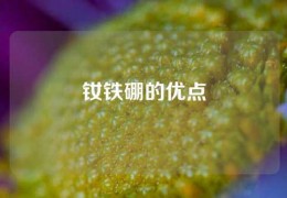 钕铁硼的优点