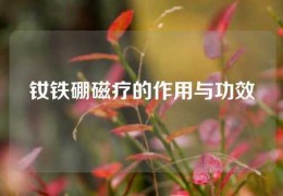 钕铁硼磁疗的作用与功效