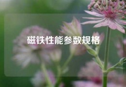 磁铁性能参数规格