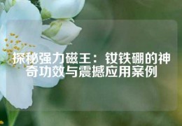 探秘强力磁王：钕铁硼的神奇功效与震撼应用案例