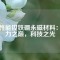 高性能钕铁硼永磁材料：磁力之巅，科技之光