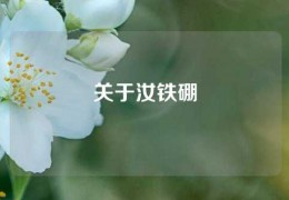 关于汝铁硼