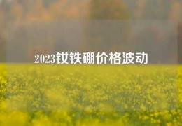 2023钕铁硼价格波动