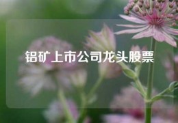 铝矿上市公司龙头股票