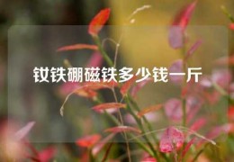 钕铁硼磁铁多少钱一斤