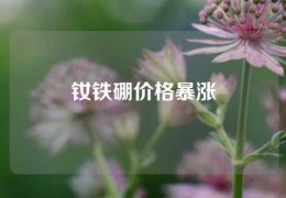 钕铁硼价格暴涨