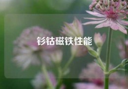 钐钴磁铁性能