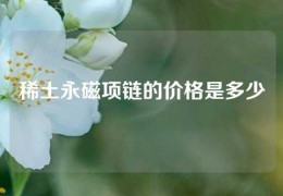 稀土永磁项链的价格是多少