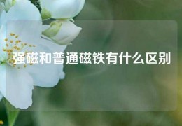 强磁和普通磁铁有什么区别