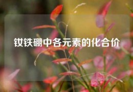 钕铁硼中各元素的化合价