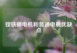 钕铁硼电机和普通电机优缺点