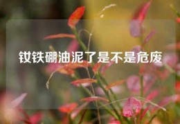 钕铁硼油泥了是不是危废