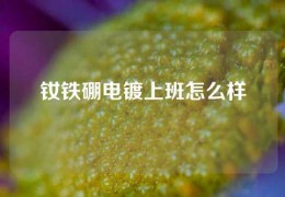 钕铁硼电镀上班怎么样