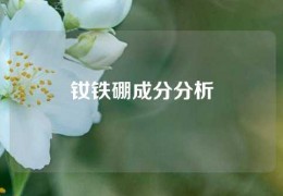 钕铁硼成分分析