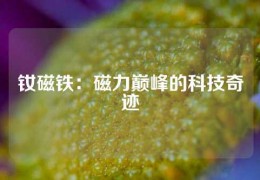 钕磁铁：磁力巅峰的科技奇迹