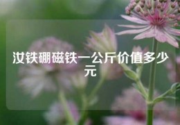 汝铁硼磁铁一公斤价值多少元