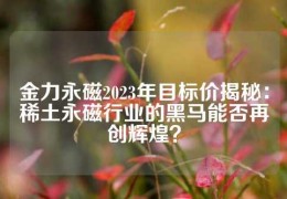 金力永磁2023年目标价揭秘：稀土永磁行业的黑马能否再创辉煌？