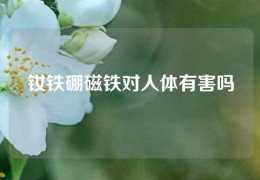 钕铁硼磁铁对人体有害吗