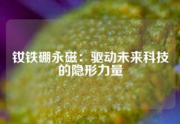 钕铁硼永磁：驱动未来科技的隐形力量