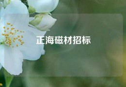 正海磁材招标