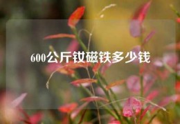 600公斤钕磁铁多少钱