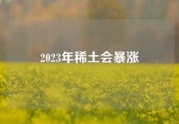 2023年稀土会暴涨