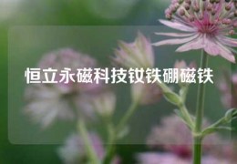 恒立永磁科技钕铁硼磁铁