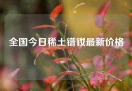 全国今日稀土镨钕最新价格