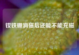 钕铁硼消磁后还能不能充磁