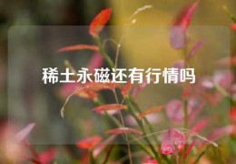 稀土永磁还有行情吗