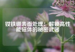 钕铁硼表面处理：解锁高性能磁体的秘密武器