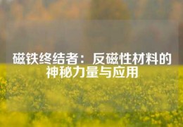 磁铁终结者：反磁性材料的神秘力量与应用