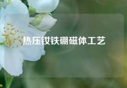 热压钕铁硼磁体工艺