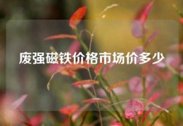 废强磁铁价格市场价多少