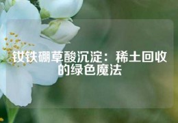 钕铁硼草酸沉淀：稀土回收的绿色魔法