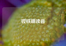 钕铁硼读音