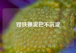 钕铁硼泥巴不沉淀