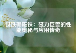 钕铁硼磁铁：磁力巨兽的性能奥秘与应用传奇