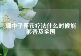 硼中子俘获疗法什么时候能够普及全国