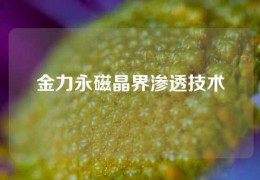 金力永磁晶界渗透技术