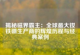 揭秘磁界霸主：全球最大钕铁硼生产商的辉煌历程与经典案例